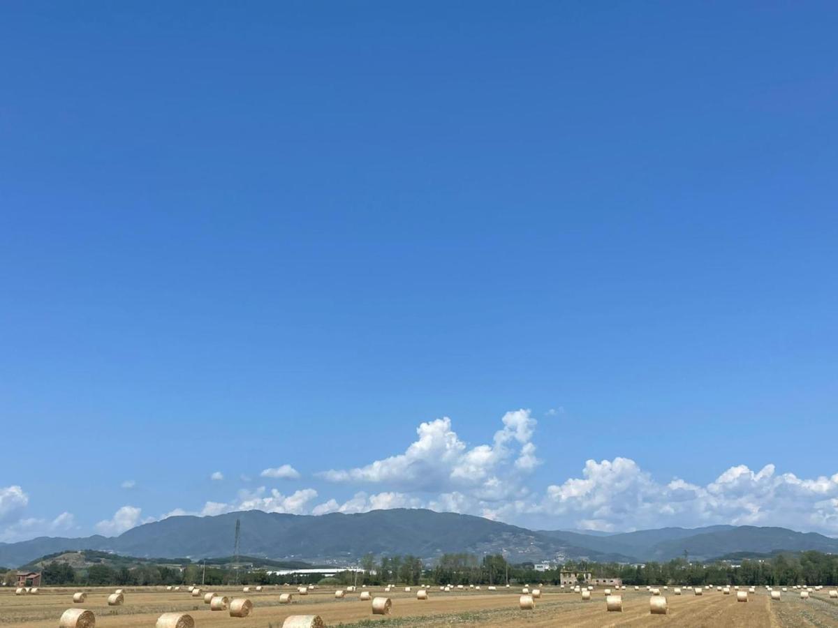 Lucca Holiday Rental- By The Walls N 395 Exterior foto